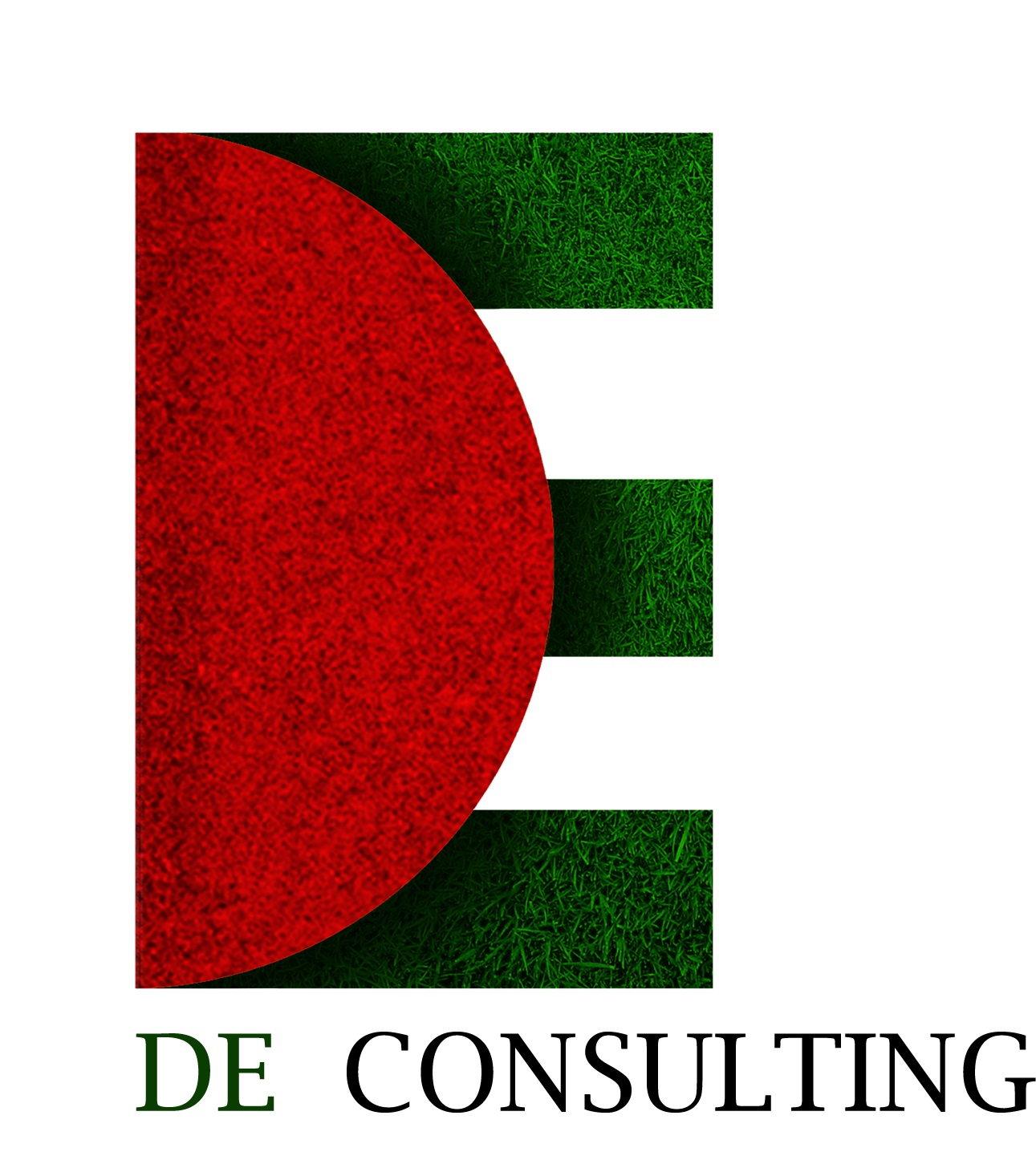 DE Consulting